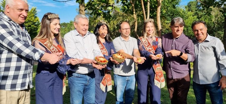 Está aberta a temporada da Colheita do Pinhão 2024