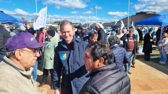 adesivaço lio marin (11)
