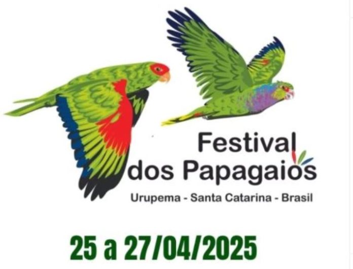 festival papagaio charão