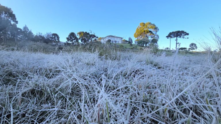 Geada transforma paisagem da Serra Catarinense no Dia das Mães