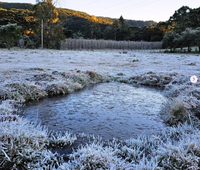 onda frio capa