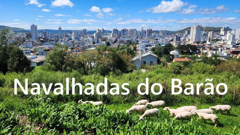 Navalhadas de quinta-feira, 23 outubro 2025