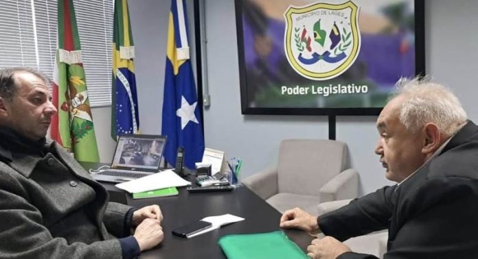 liga escolas samba