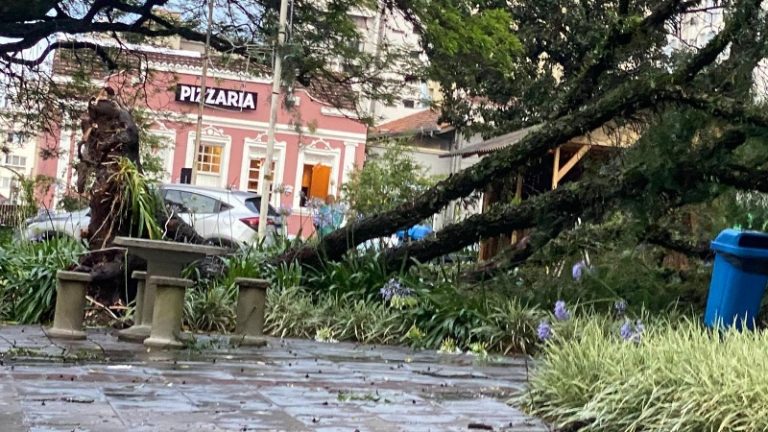 Tempestade com ventos de 53,64km/h, aponta Defesa Civil
