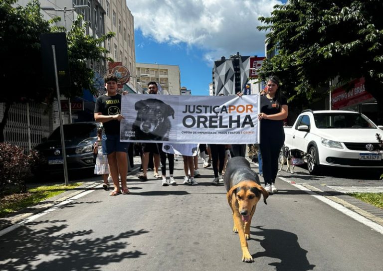 Manifesto em Lages pede justiça pela morte brutal do Orelha 