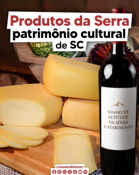patrimonio sc