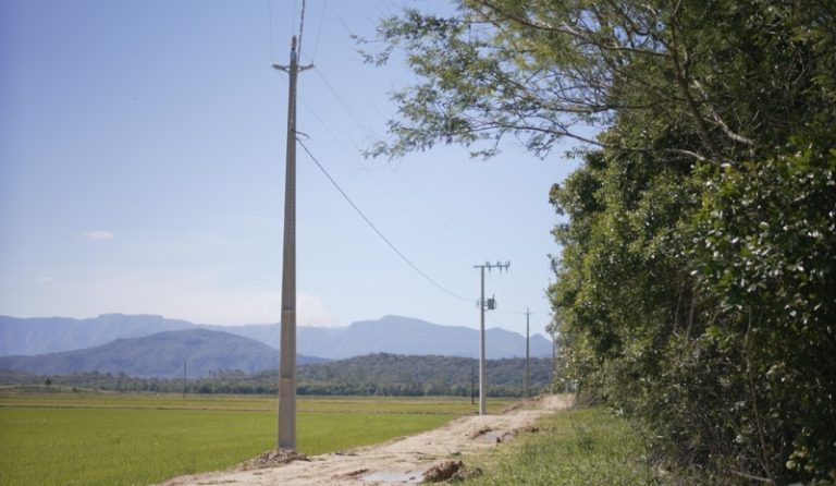 Energia trifásica chega ao campo e impulsiona produção rural em SC