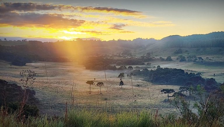 O Inverno de 2026 dando as caras na Serra Catarinense