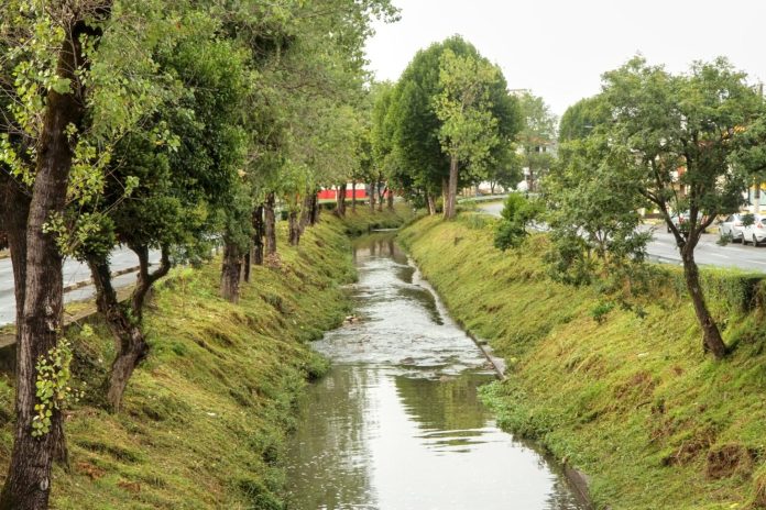 avenida carahá
