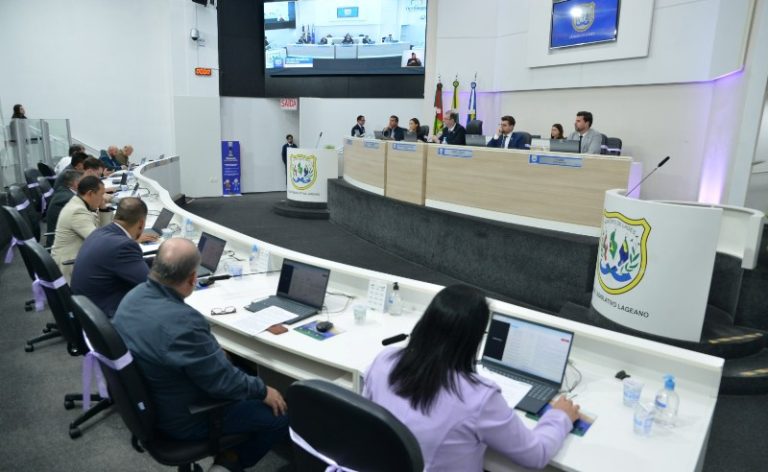 Implantação do Serviço de Verificação de Óbitos, Piso Salarial da Educação em Lages e outras pautas na Câmara Municipal