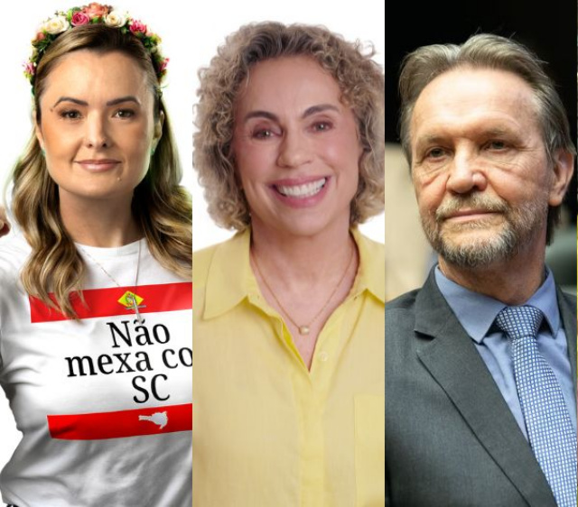 Confira os deputados federais eleitos por SC