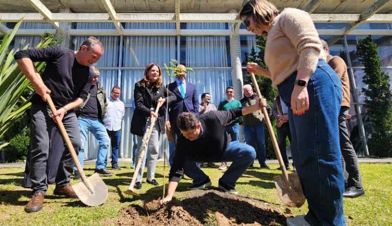 Orion Parque ganha 60 árvores do projeto Lages Verde, Lages Viva
